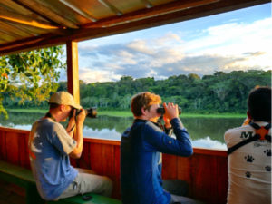 Travelers use binoculars to look for animals in the Manu National Park