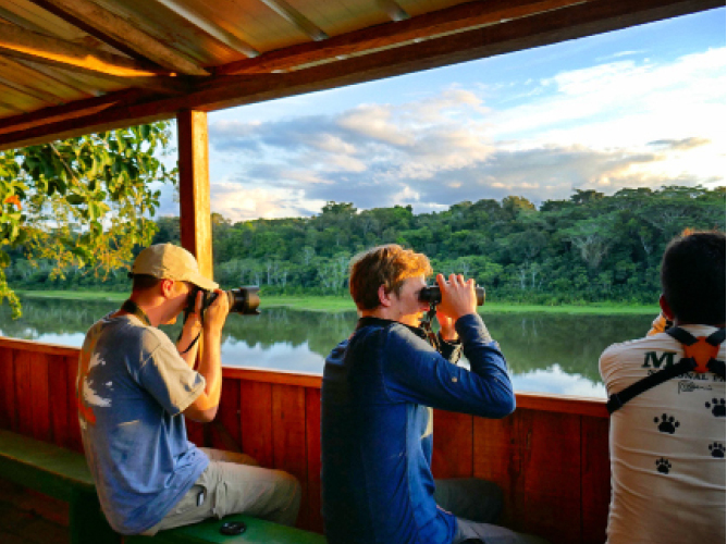 Travelers use binoculars to look for animals in the Manu National Park