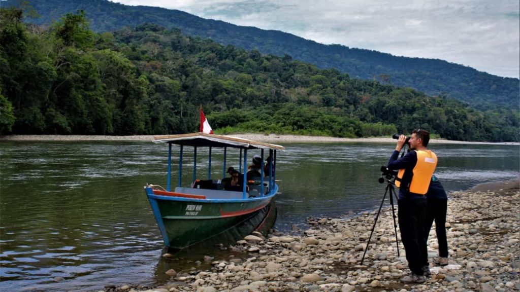 Travelers look at wildlife in the Amazon Rainforest